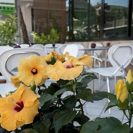 Hotel Scarlet Rimini