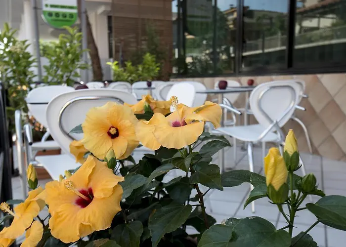 Hotel Scarlet Rimini